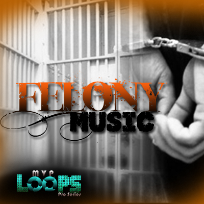 Product picture Felony Music - Acid/Apple/REX